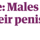 Image for article titled 12 headline ideas for Elena Ferrante’s new column in the Guardian